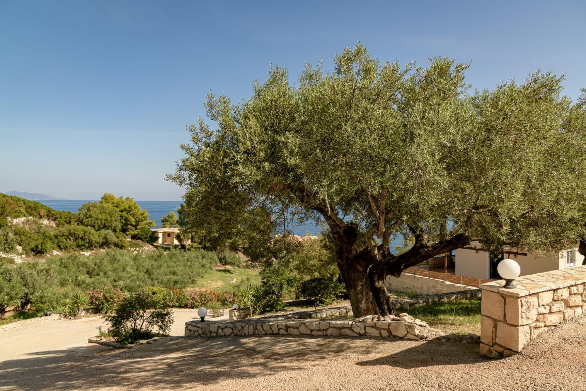 Villa Mare Studios Skinária المظهر الخارجي الصورة